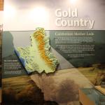 IMG_7704 (May 28, 2024)